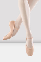 Load image into Gallery viewer, Dansoft Leather Ballet Slippers - Pink